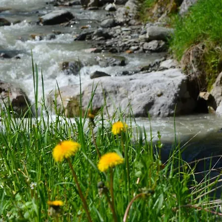 샬레 Dahoam By Sarina - Almchalet 비에호펜