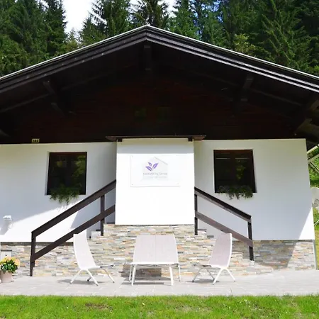 Chalet Dahoam By Sarina - Almchalet Incl Summercard