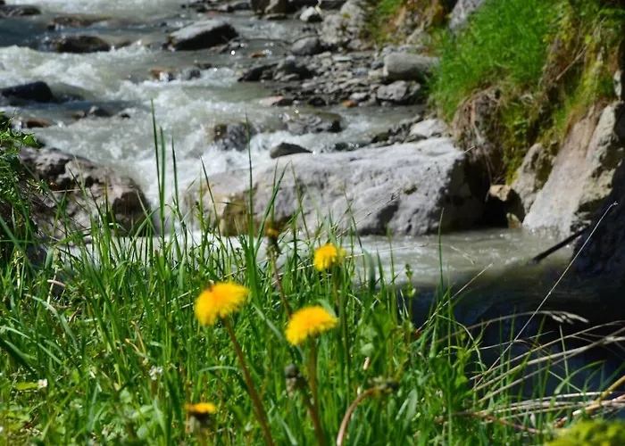 Chalet Dahoam By Sarina - Almchalet Incl Summercard Viehhofen